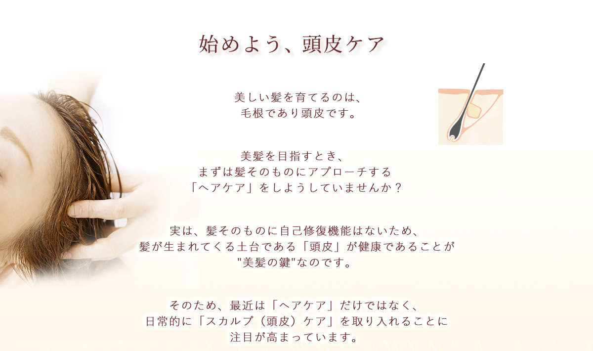 始めよう、頭皮ケア