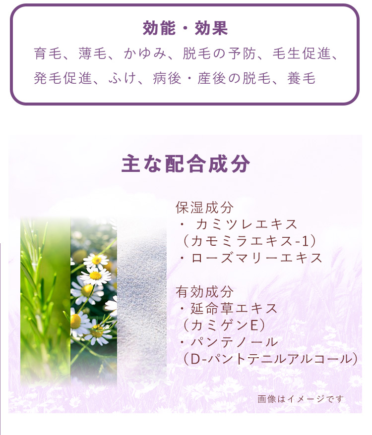 「ハーバルエナジースプラッシュセラム」効能・効果・主な配合成分