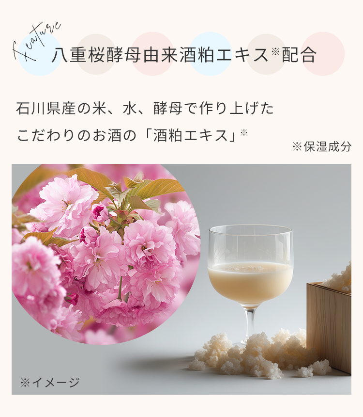 ハウスオブローゼ公式Yahoo!ショッピング店 - バリアライズ｜Yahoo