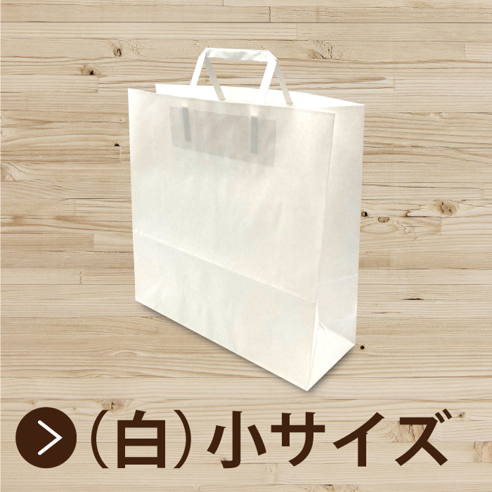 無料配達 紙手提げ袋平紐 白 小 100枚梱包 無地 サイズ sonhaflex.pt