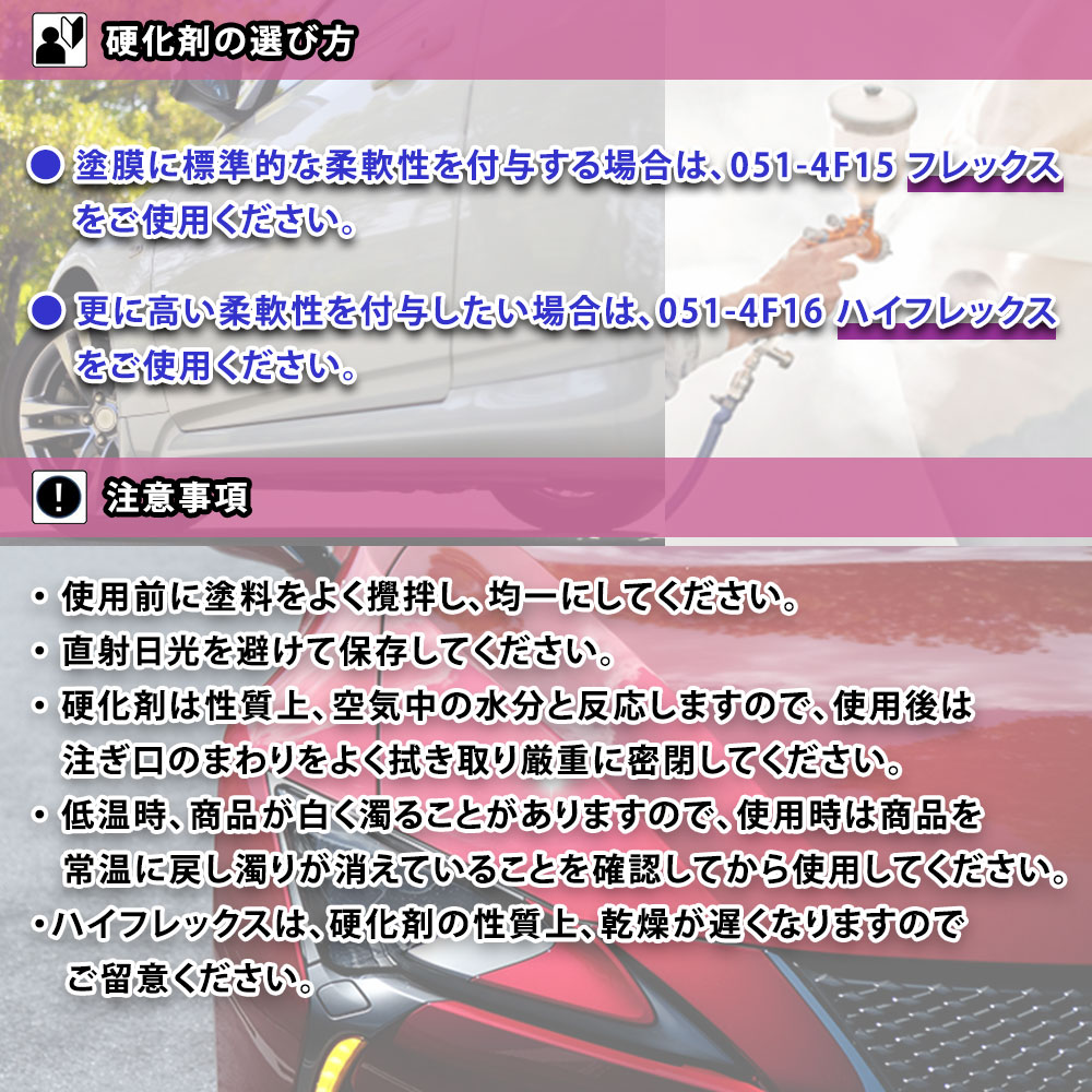 エコマルチハードナーハイフレックス 100g/小分け ロックペイント