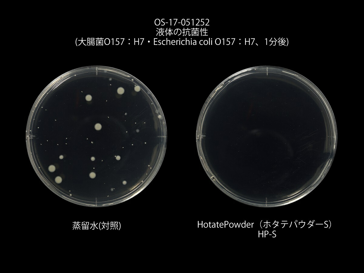 手指用 消毒液 hands ハンズ ノンアルコール 泡 タイプ ポンプ式 除菌 剤 販売No.1達成 手指の消毒 ホタテパウダー 手指消毒剤 無…