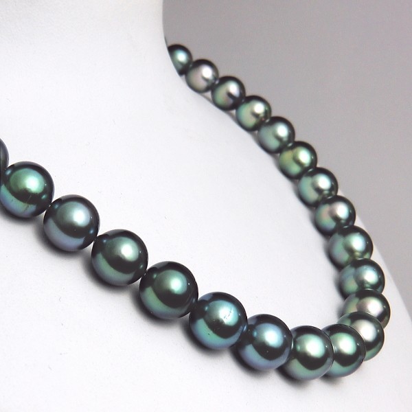 黒蝶真珠 ネックレス ピーコックグリーンカラー 10.8-8.0mm : 真珠専門