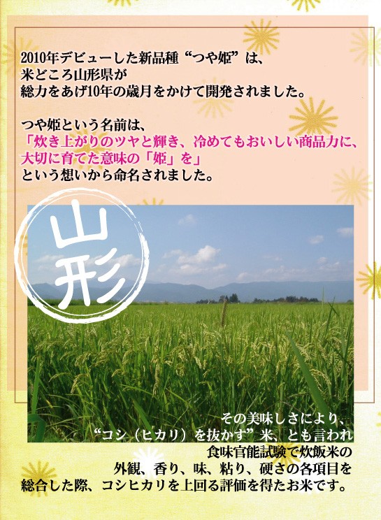 令和5年産 5kg×2袋 つや姫 山形県産 精白米 白米 10kg 特別栽培米 送料