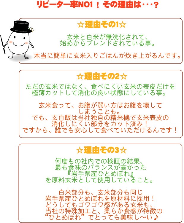 令和4年産最終売尽くしセール 令和4年産 無洗米 玄米 玄白飯 9.5kg