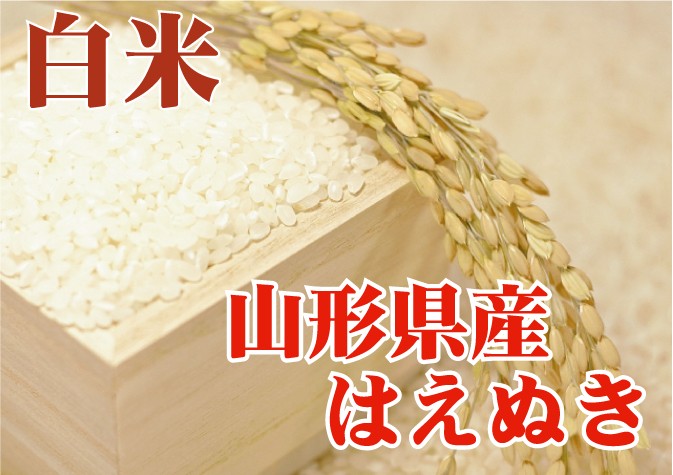 はえぬき [7年産売尽くしセール] 令和7年産 10kg 5kg×2袋 山形県産