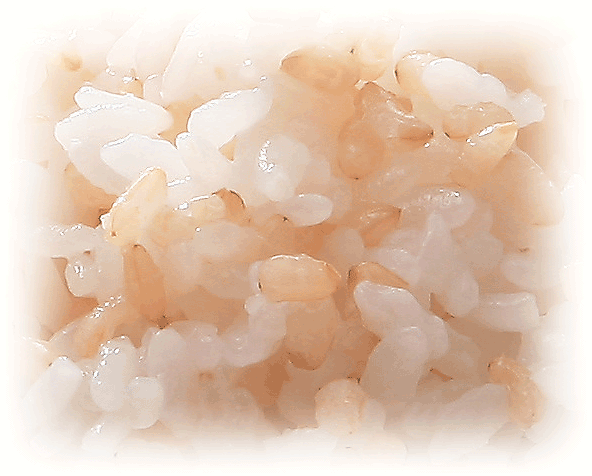 ひとめぼれ 令和6年産 無洗米 5kg×2 玄米 玄白飯 10kg 送料無料
