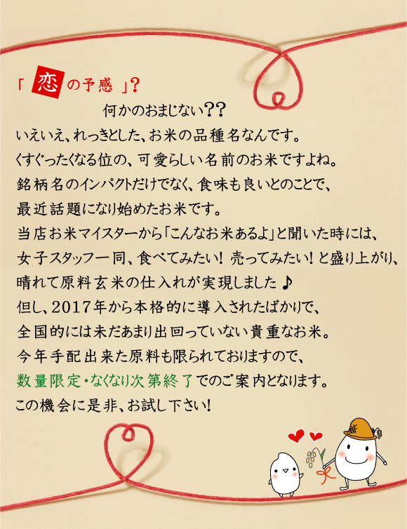 数量限定] 無洗米 5kg×2 広島県産 恋の予感 10kg 令和4年産 送料無料 特A お米マイスター厳選 精米HACCP認定工場（SL） :  y-mhyky005-2 : ハーベストシーズン - 通販 - Yahoo!ショッピング