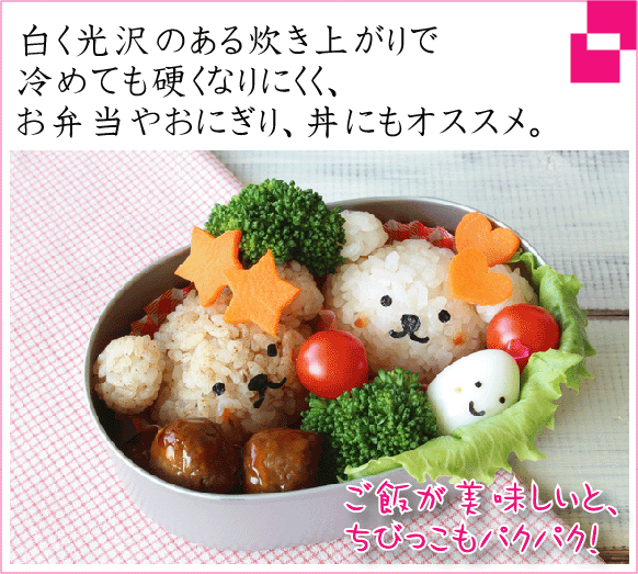 数量限定] 無洗米 5kg×2 広島県産 恋の予感 10kg 令和4年産 送料