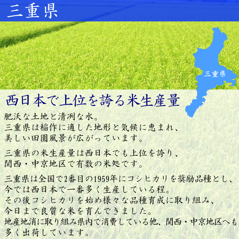楽天市場】無洗米 コシヒカリ 三重県産 10kg 令和6年 5kg×2 米