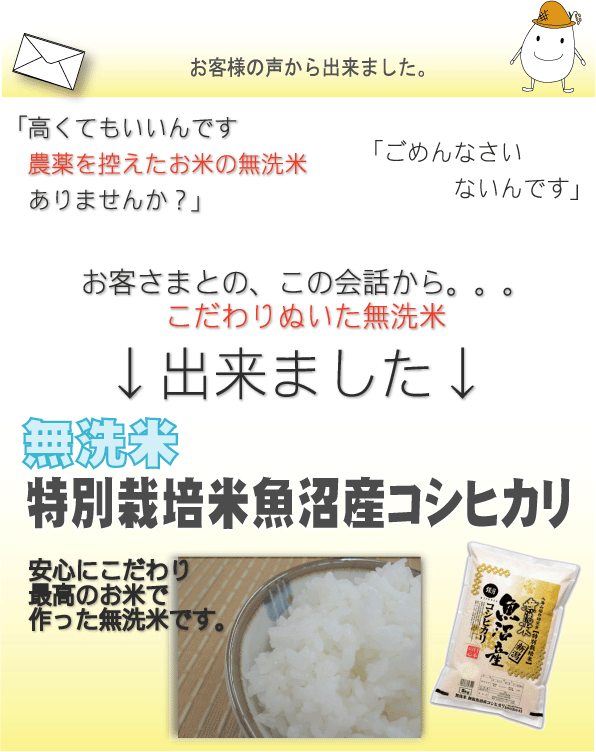 海外限定】 令和3年産【無洗米】 特別栽培米 (5kgx2袋) 10kg 新潟県魚沼産コシヒカリ 無洗米 - flaviogimenis.com.br