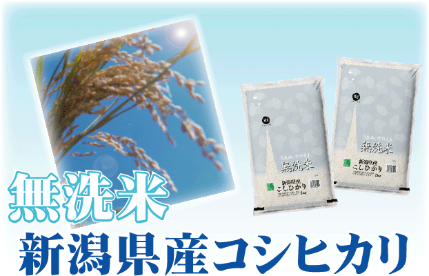 コシヒカリ [更にお値打ち価格] 令和7年産 無洗米 10kg 5kg×2 新潟県産