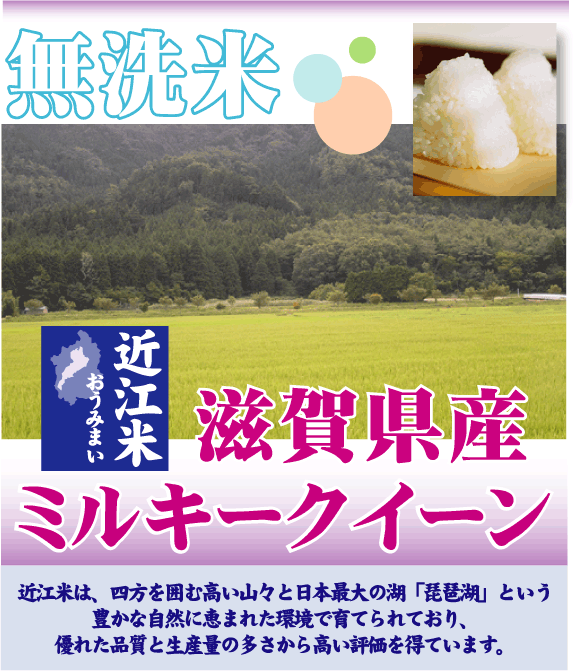 ミルキークイーン 令和6年産 無洗米 20kg 滋賀県産 近江米 5kg×4