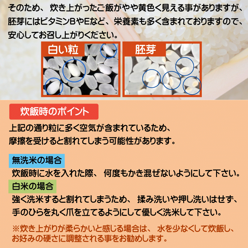 エフ子商品です。　新米　無洗米コシヒカリ30kg(目減り有り) 3/8袋 kosihikari_kosihikari-musenmai