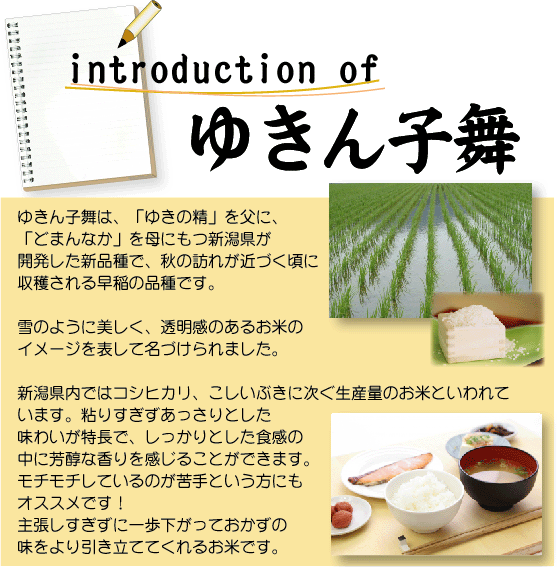 数量限定大特価] 再販 無洗米 5kg×2袋 新潟県産 ゆきん子舞 10kg 令和4