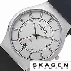 SKAGEN ӻ   󥺻 233XXLSLC