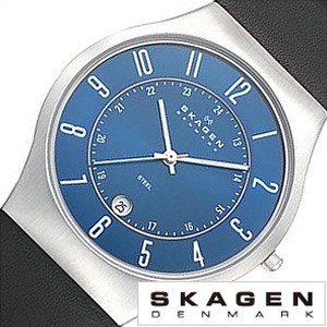  ӻ SKAGEN    SKAGEN ӻ   ǥ 233XXLSLN 233XXLSLN