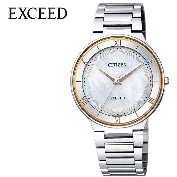 CITIZEN ӻ    EXCEED     ۥ磻 AR0080-58P