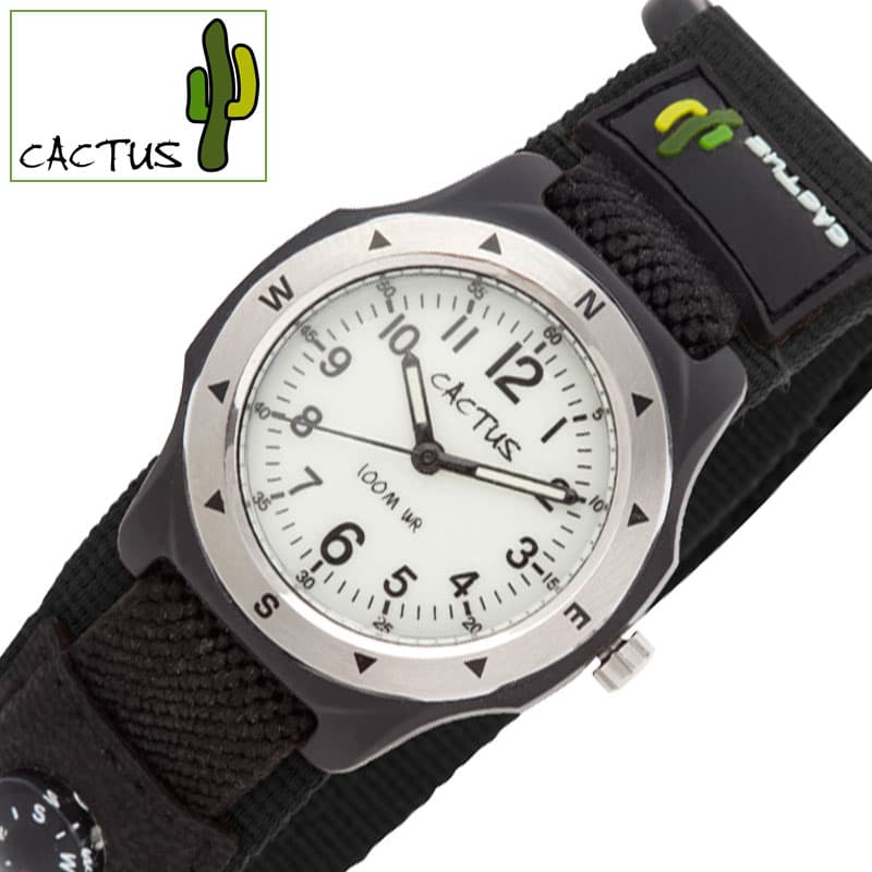JN^X rv CACTUS v JN^X CACTUS   q K wZ Cws RwZ ъԊwZ sNjbN vfr[ CAC-65-M01