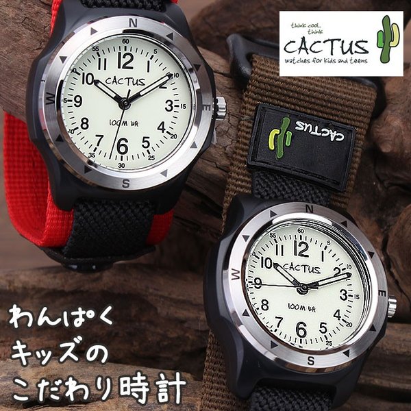 JN^X v CACTUS v LbY rv qǂ  w a q v[g Mtg qprv qpv LbYv j̎q h qp