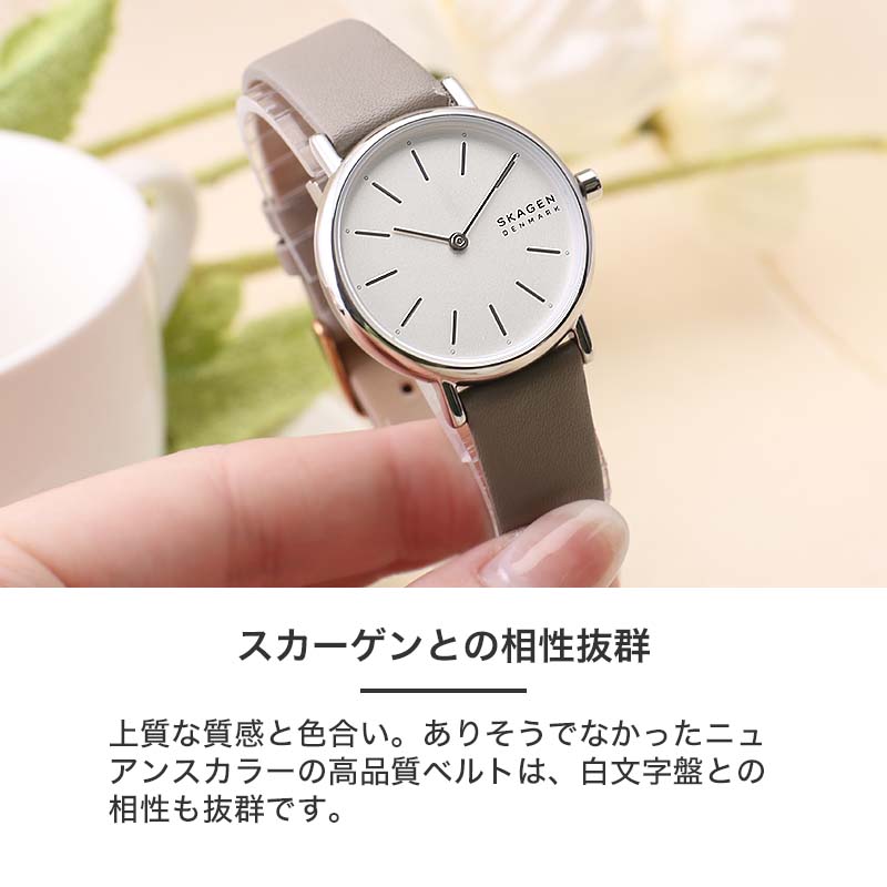 【2種類のベルトセット】スカーゲン 時計 SKAGEN 腕時計 SIGNATUR レディース 女性 向け プレゼント ギフト 人気 ブランド おすすめ  定番 シンプル 見やすい
