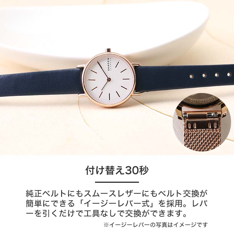 2種類のベルトセット】スカーゲン 時計 SKAGEN 腕時計 SIGNATUR