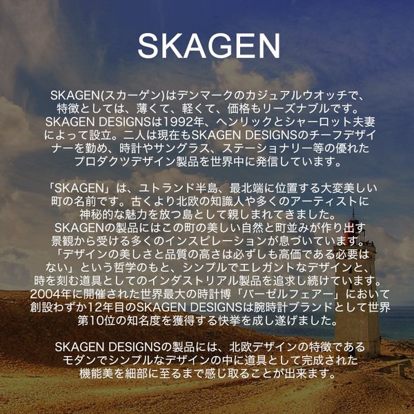 ペア価格 ペアウォッチ スカーゲン 腕時計 SKAGEN 時計 メンズ