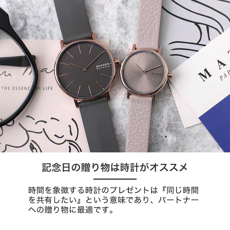 ペアウォッチ スカーゲン 腕時計 SKAGEN 時計 SIGNATUR メンズ