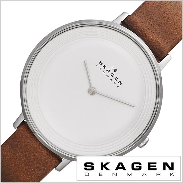 スカーゲン 腕時計 SKAGEN 時計 ディッテ SKW2214 メンズ レディース