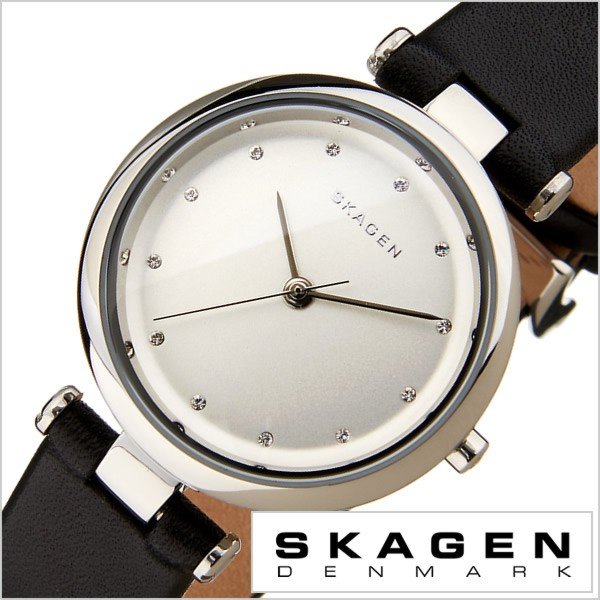 スカーゲン 腕時計 SKAGEN  時計 ターニャ SKW2467 レディース