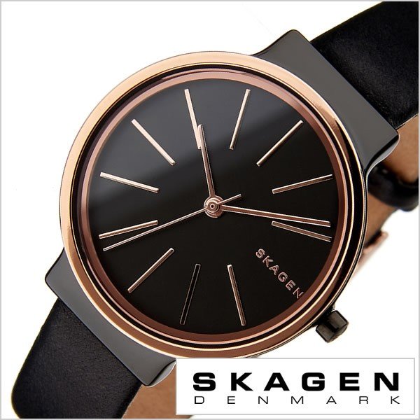 スカーゲン 腕時計 SKAGEN 時計 アンカー SKW2480 レディース