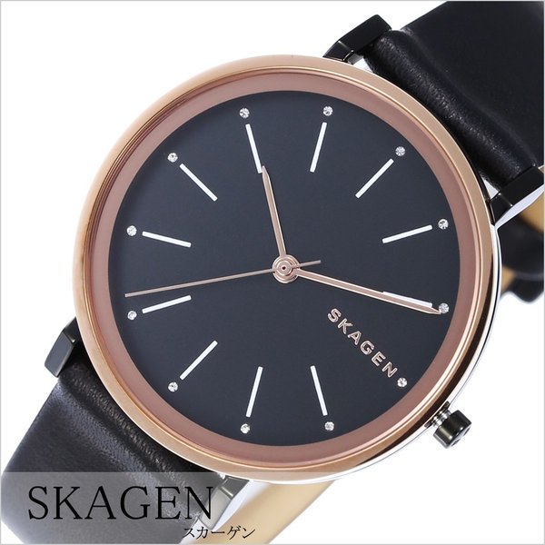 スカーゲン 腕時計 SKAGEN 時計 ハルド SKW2490 ユニセックス