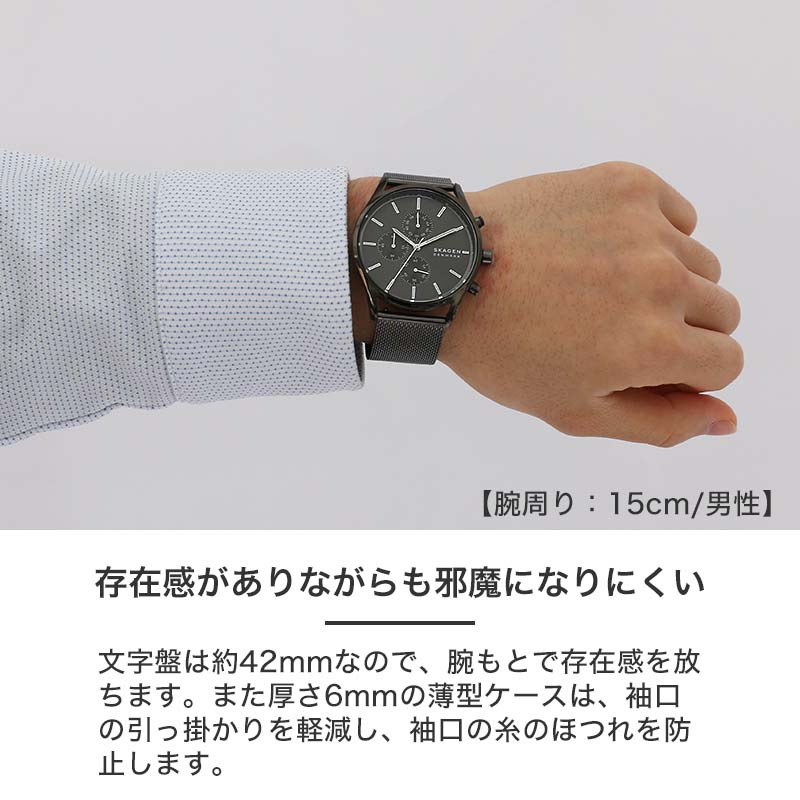 スカーゲン メンズ 時計 SKAGEN 腕時計 スカーゲン時計 ホルスト Holst