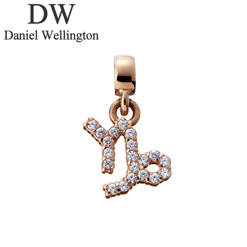 ˥ ȥ ꡼ Daniel Wellington 㡼 ǥå  Charm Zodiac Sign Capricorn RG  ǥ DW00400741