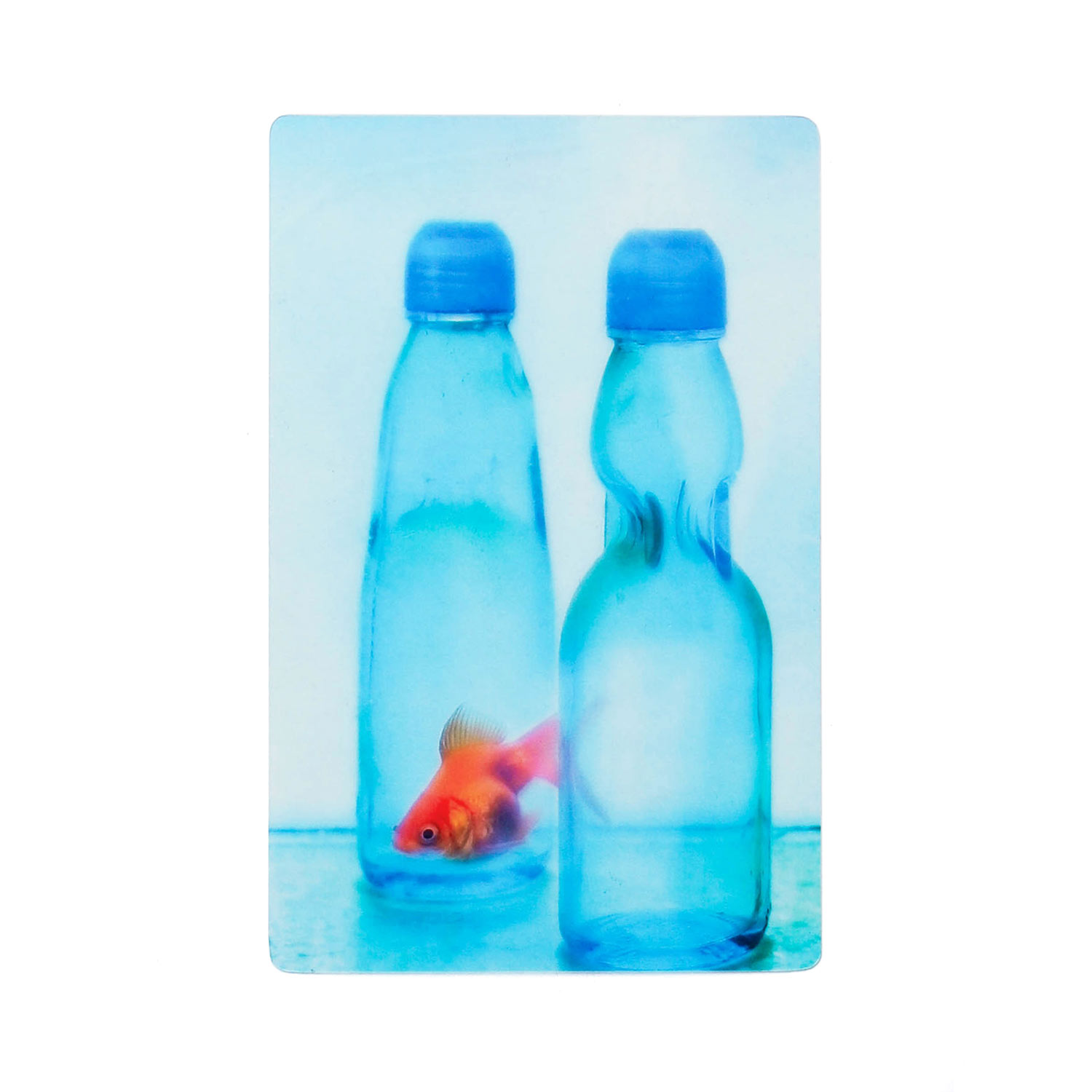 透明写真栞 しおり 文庫 かわいい 透明 ブックマーカー ブックマーク 読書 |  | 03