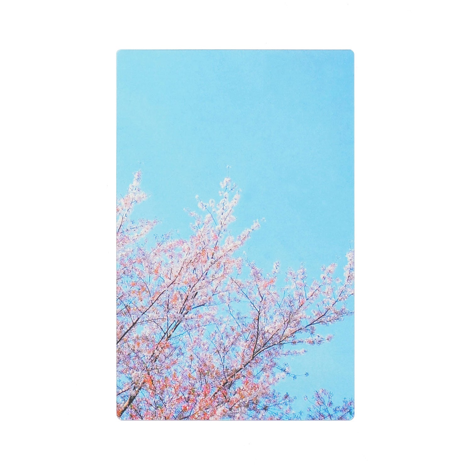 透明写真栞 しおり 文庫 かわいい 透明 ブックマーカー ブックマーク 読書 |  | 04