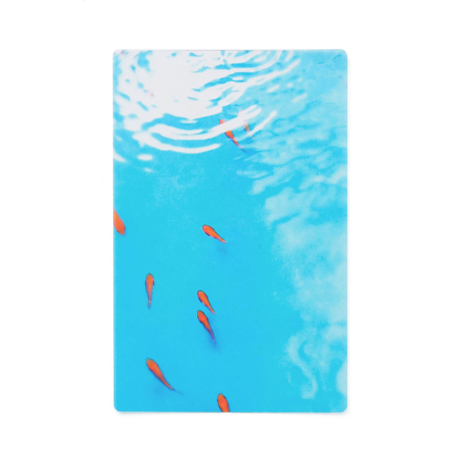 透明写真栞 しおり 文庫 かわいい 透明 ブックマーカー ブックマーク 読書 |  | 05