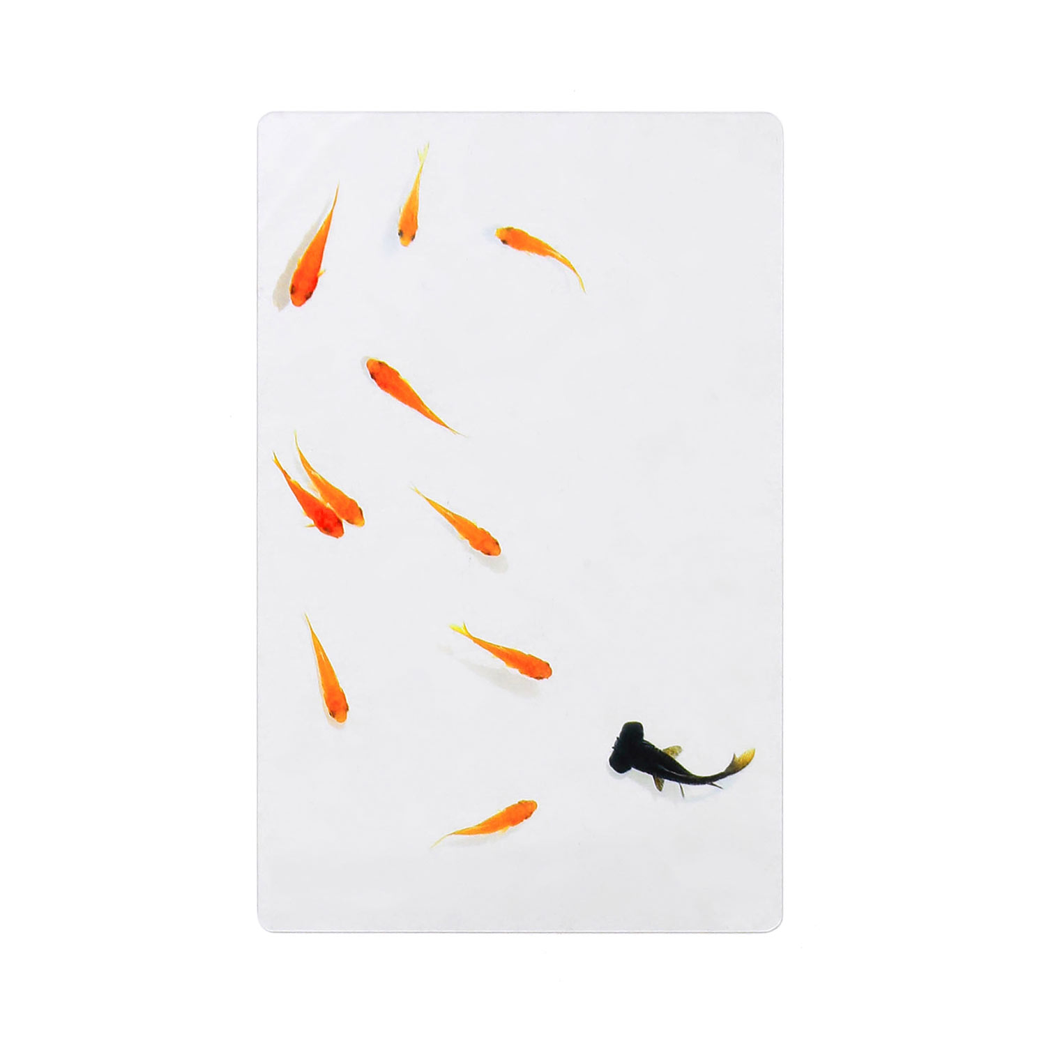 透明写真栞 しおり 文庫 かわいい 透明 ブックマーカー ブックマーク 読書 |  | 09