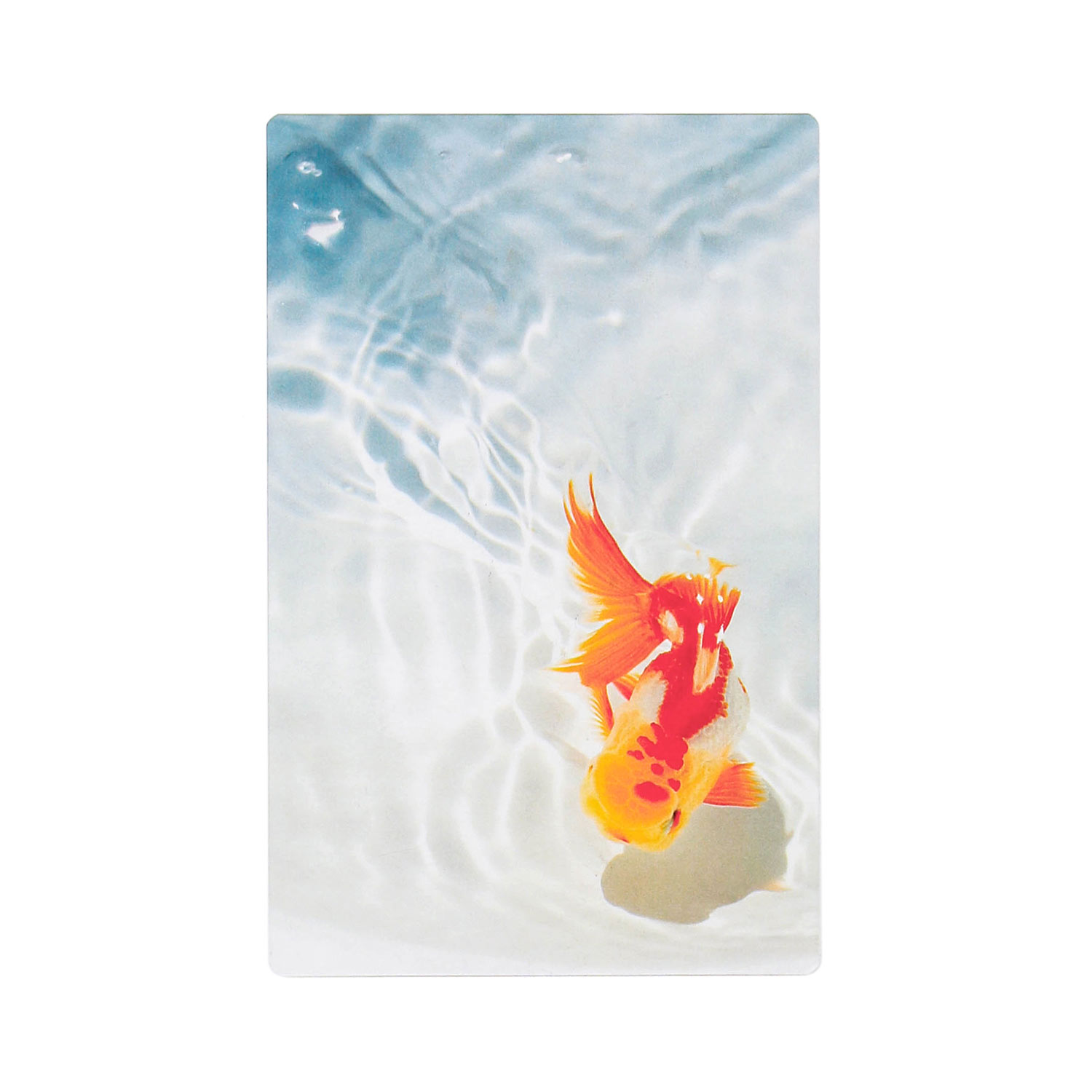 透明写真栞 しおり 文庫 かわいい 透明 ブックマーカー ブックマーク 読書 |  | 11