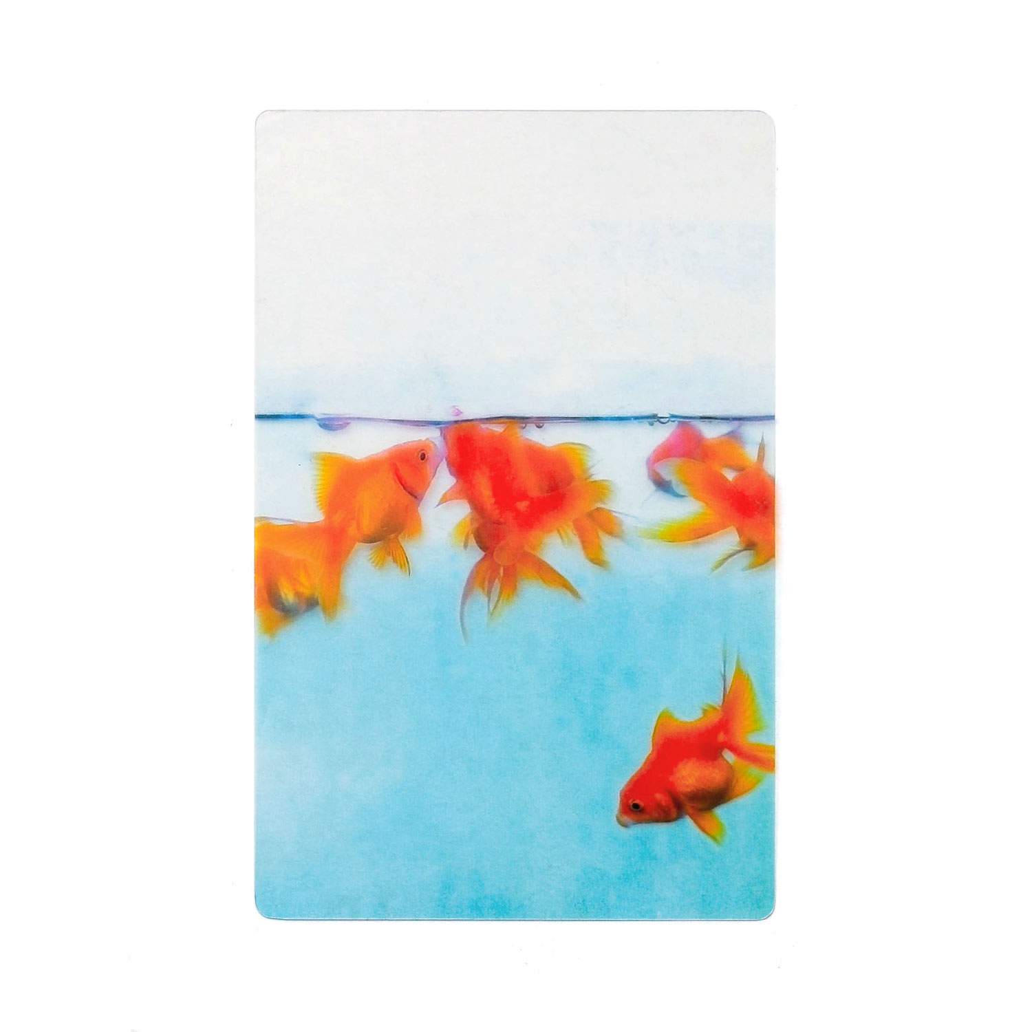 透明写真栞 しおり 文庫 かわいい 透明 ブックマーカー ブックマーク 読書 |  | 14