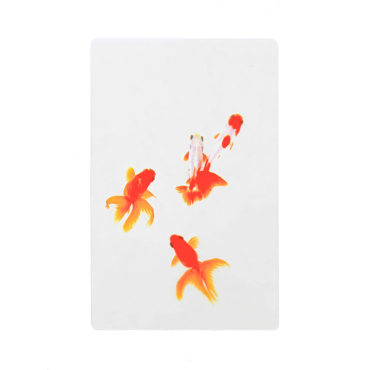 透明写真栞 しおり 文庫 かわいい 透明 ブックマーカー ブックマーク 読書 |  | 15