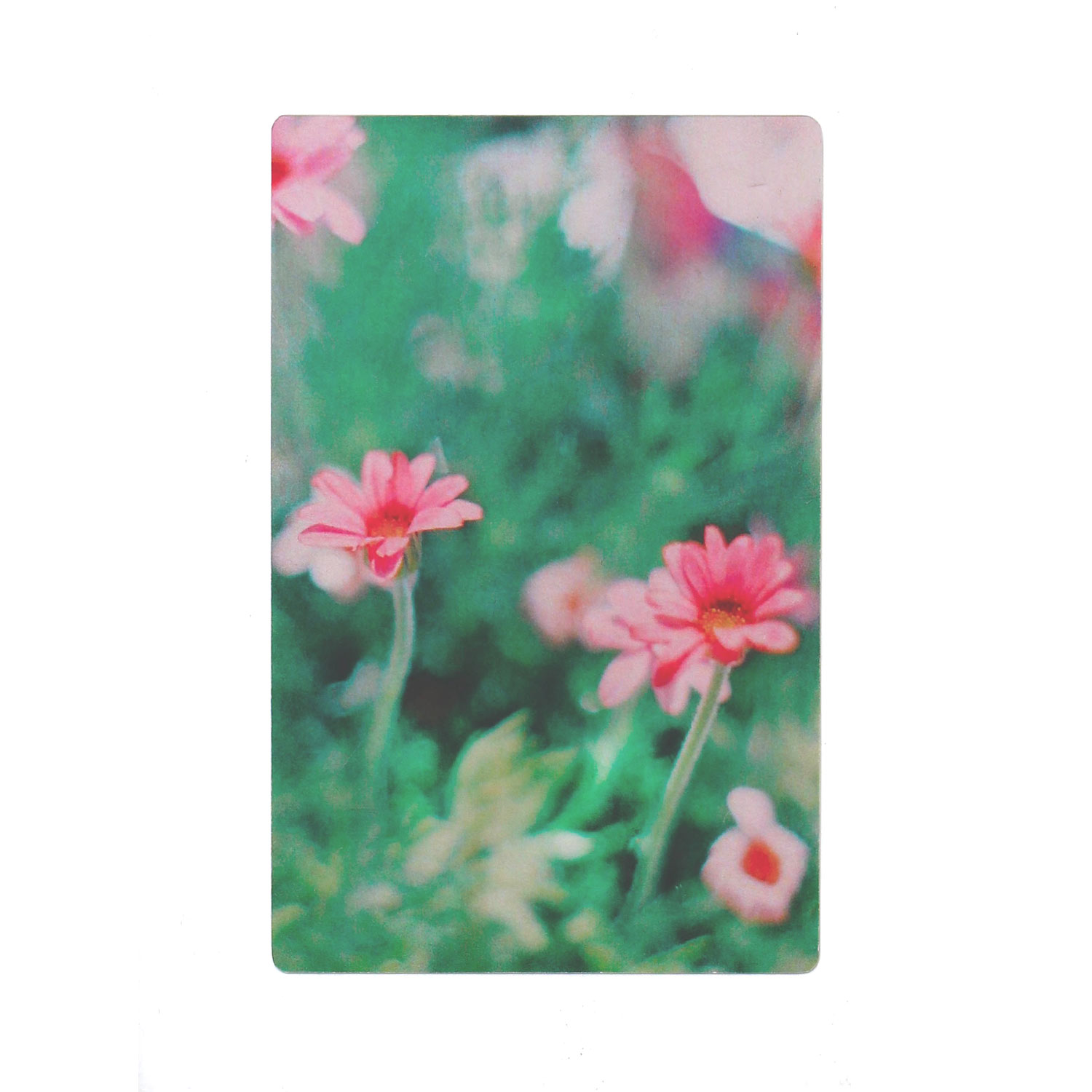 透明写真栞 しおり 文庫 かわいい 透明 ブックマーカー ブックマーク 読書 |  | 16