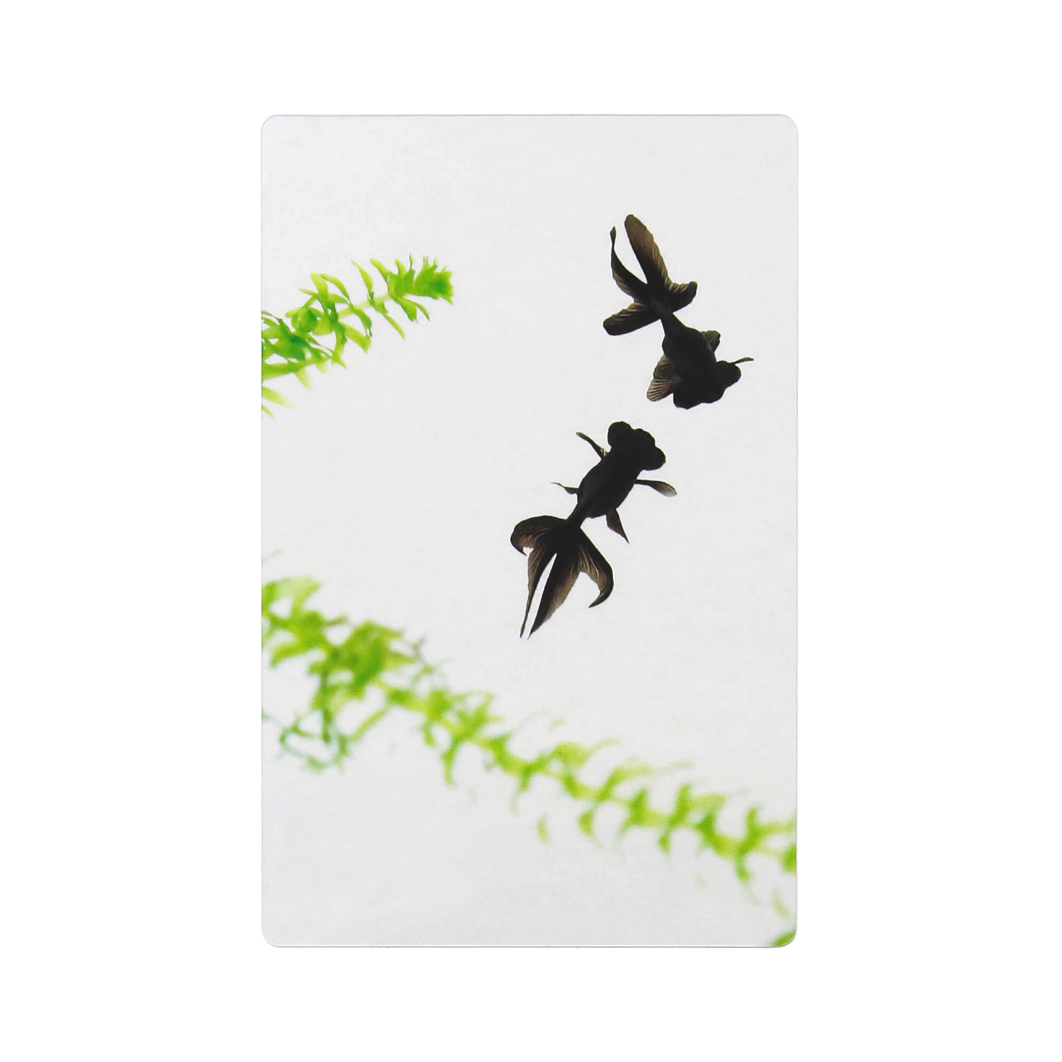 透明写真栞 しおり 文庫 かわいい 透明 ブックマーカー ブックマーク 読書 |  | 18