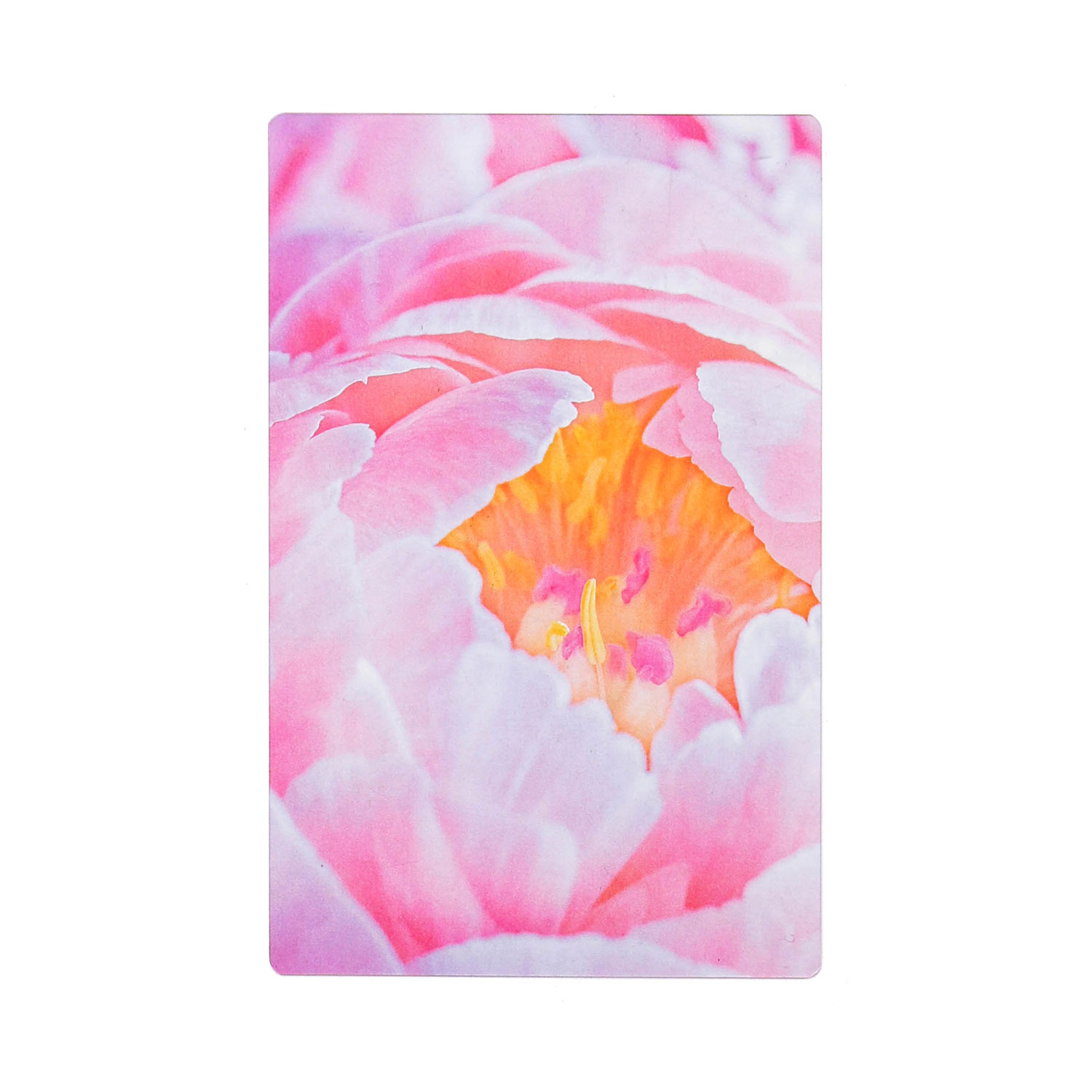 透明写真栞 しおり 文庫 かわいい 透明 ブックマーカー ブックマーク 読書 |  | 20