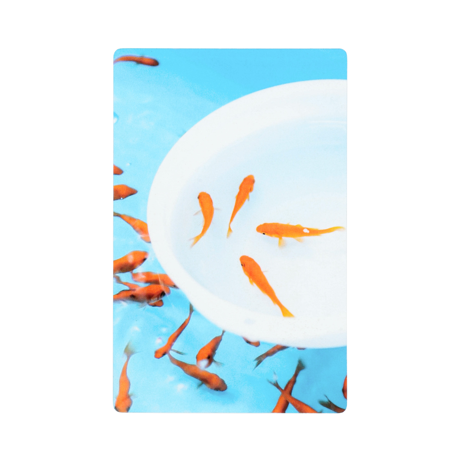 透明写真栞 しおり 文庫 かわいい 透明 ブックマーカー ブックマーク 読書 |  | 24