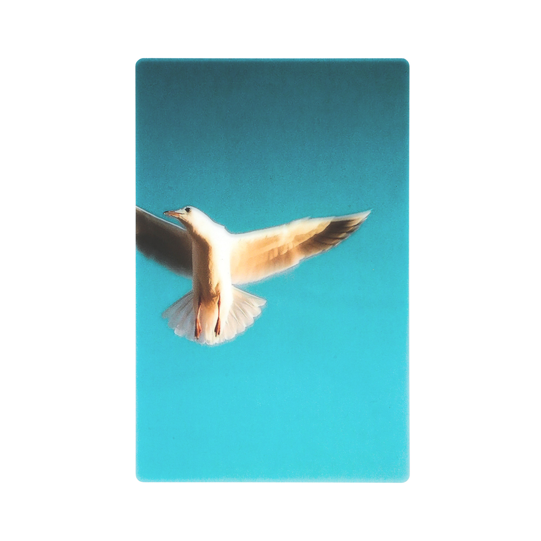 Photo & focus 透明写真栞 |  | 02