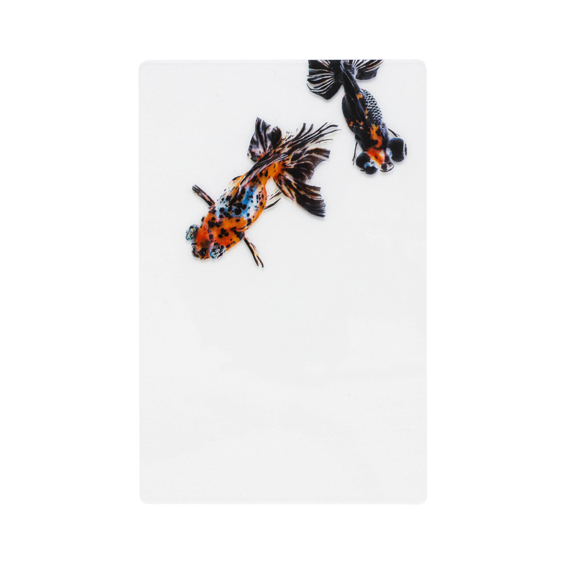 Photo & focus 透明写真栞 |  | 04