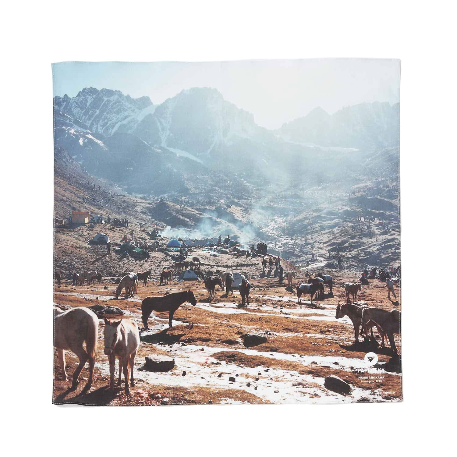 バンダナ PAPERSKY Mountain Bandana ペーパースカイ マウンテンバンダナ ハンカチ スカーフ 綿100% メンズ レディース 日本製 お弁当包み 大判ハンカチ ギフト | HIGHTIDE | 03