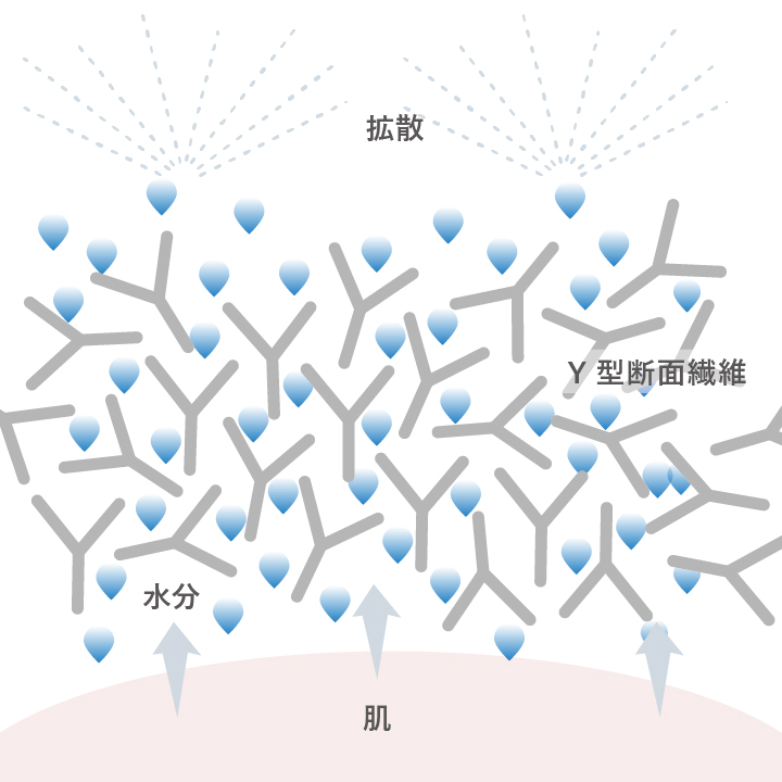 フリーカット
