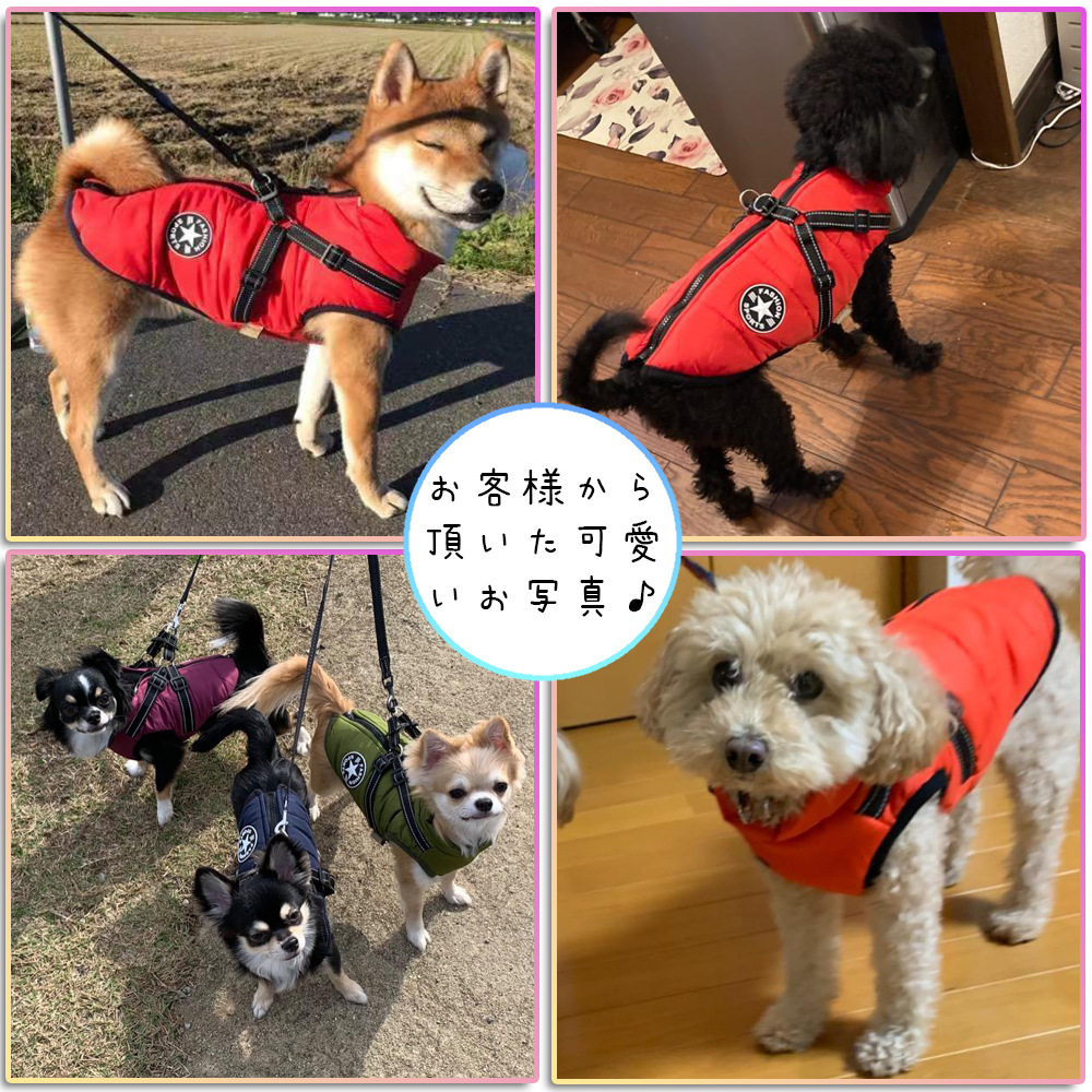 犬 服 犬の服 犬用ベスト ダウン風ベスト 犬用アウター ペット服とハーネス一体 ドッグウェア 中綿 秋冬服 小型犬 中型犬 ジップアップ 防寒 温かい  :cw0158:T-MENG LIFE - 通販 - Yahoo!ショッピング